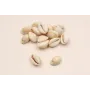 concha 16mm /Cuentas de  Nacar 