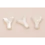 Letra Nacar Y 10mm agujero horizontal superior /Cuentas de  Nacar 