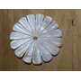 Disco Flor Nacar 38mm diametro /Cuentas de  Nacar 