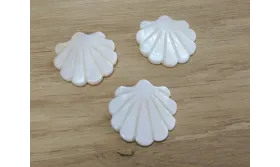 Concha plana Nacar 25*25mm /Cuentas de  Nacar 