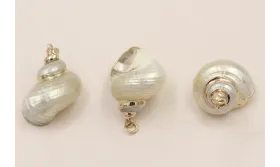 Concha bordes metal Dorado 25*25mm  /Cuentas de  Nacar 