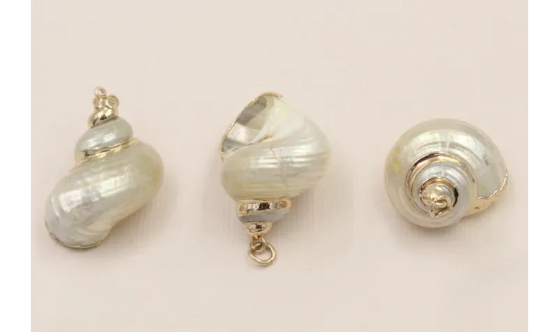 Concha bordes metal Dorado 25*25mm  /Cuentas de  Nacar 