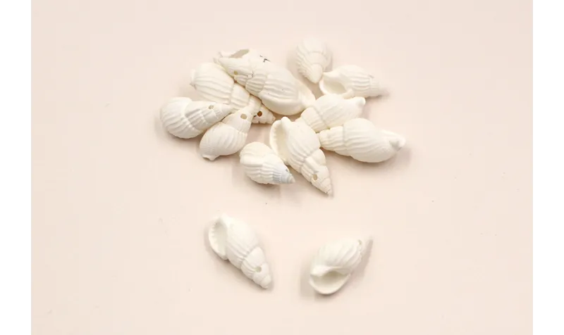 Cracola Blanca 20-22*10mm /Cuentas de  Nacar 