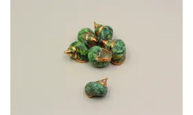 Caracola verdosa con bordes Oro 30*27mm /Cuentas de  Nacar 