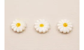 Margarita Nacar 12mm /Cuentas de  Nacar 