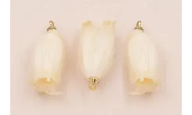 Flor Natural Campanilla con Resina 23*10 Crudo /Cuentas de  Nacar 