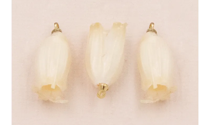 Flor Natural Campanilla con Resina 23*10 Crudo /Cuentas de  Nacar 