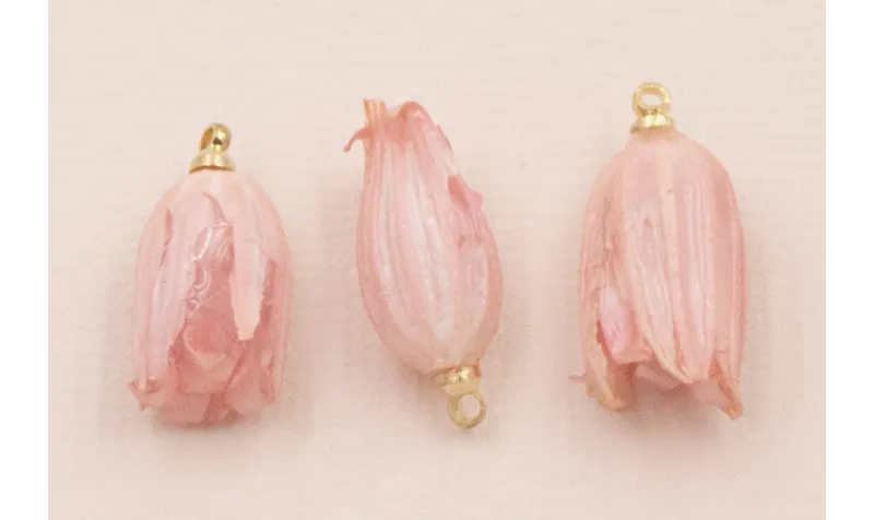 Flor Natural Campanilla con Resina 23*10 rosa /Cuentas de  Nacar 