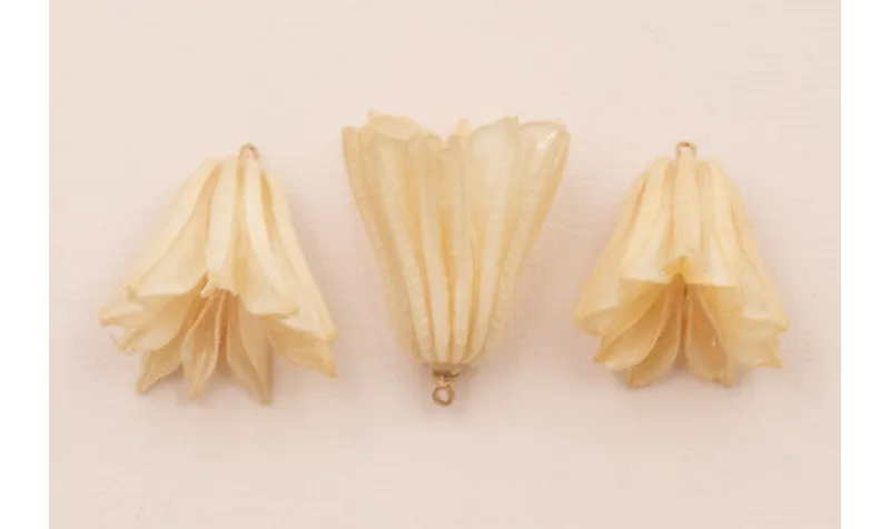 Flor Natural Campanilla con Resina 30*20 Beige /Cuentas de  Nacar 