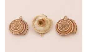 Caracola redonda 20-27mm diametro /Cuentas de  Nacar 