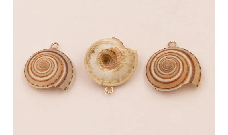 Caracola redonda 20-27mm diametro