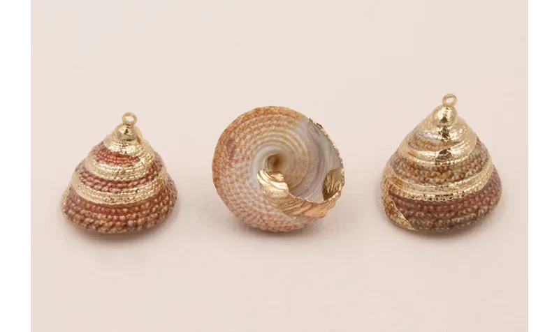 Caracola Piramidal  24*20mm bordes dorados /Cuentas de  Nacar 