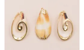 Caracola Blanca 36*23mm bordes dorados /Cuentas de  Nacar 