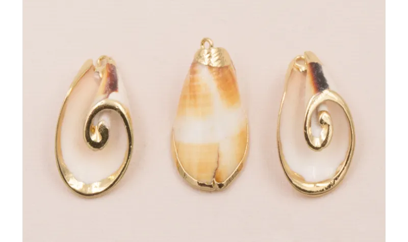 Caracola Blanca 36*23mm bordes dorados /Cuentas de  Nacar 