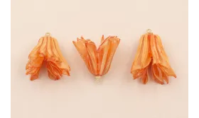 Flor Natural Campanilla con Resina 30*20 Arcilla /Cuentas de  Nacar 