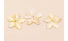 Flor Nacar 27mm Agujero central /Cuentas de  Nacar 