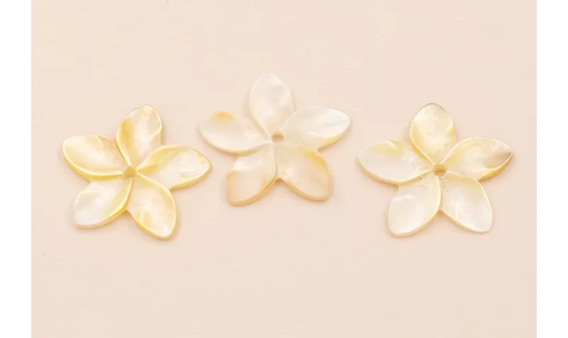 Flor Nacar 27mm Agujero central /Cuentas de  Nacar 