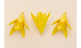 Flor Natural Campanilla abierta 35*30mm Amarilla /Cuentas de  Nacar 