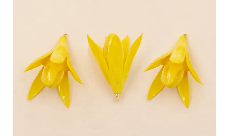 Flor Natural Campanilla abierta 35*30mm Amarilla /Cuentas de  Nacar 