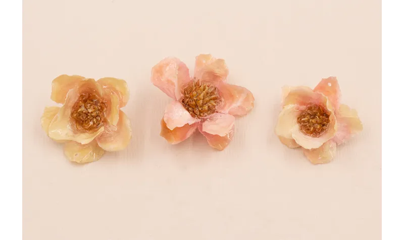 Flor Natural con Resina 30-35mm diam. Color Rosa /Cuentas de  Nacar 