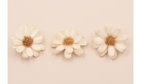 Flor Narutal con Resina: Doble Cara 50mm Beige /Cuentas de  Nacar 