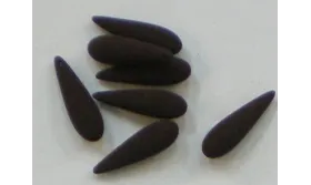 Lágrima aterciopelada Marrón oscuro /Cuentas de  Plástico / Resina 