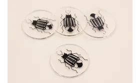 Disco Metacrilato de 30mm con lamina Escabajo /Cuentas de  Plástico / Resina 