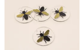 Disco Metacrilato de 30mm con lamina Mosca /Cuentas de  Plástico / Resina 