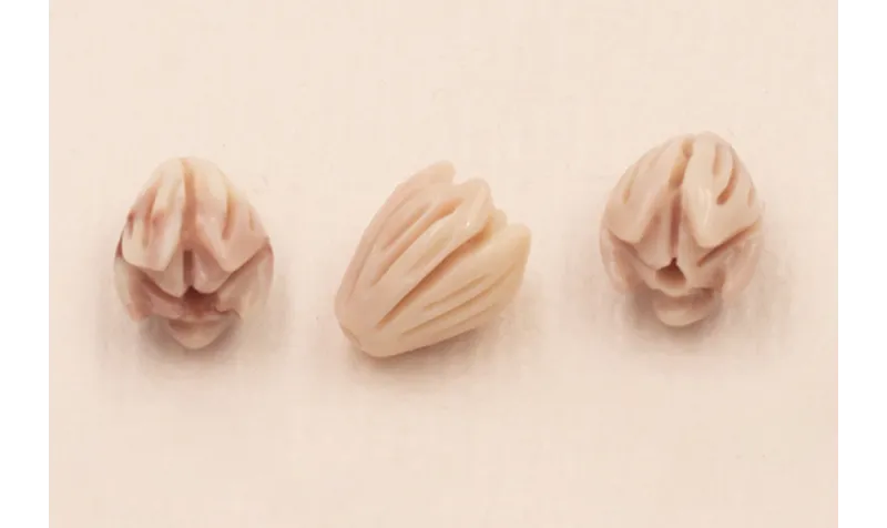 Flor Resina de Coral 8*6mm Morado-Beige