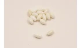 Ovalo CORAL 7*4mm Blanco / Semipreciosas de 