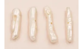 Listón de perla 11-17mm * 3mm / Semipreciosas de 