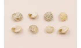 Ristra de 45cms de mini caracolas de 5-7mm / Semipreciosas de 