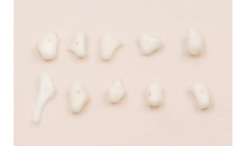 Ristra de 40cms de Chips Coral Blanco de 10-12mm / Semipreciosas de 