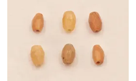 Ristra 40cms Ovalos facetados Piedra 6*4 tostado / Semipreciosas de 