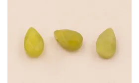 Gota Cuarzo facetado 10*6mm verde claro / Semipreciosas de 