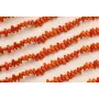 Cono Coral 8*3mm / Semipreciosas de 