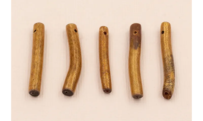 Palo Coral hueco 3*30mm Marrón / Semipreciosas de 