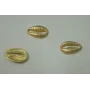 Pieza Conchita de Mar 10*8mm Oro Mate / Cuentas Metálicas de Latón / Zamak