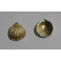 Colgante Concha 15*13mm Oro Mate / Cuentas Metálicas de Latón / Zamak
