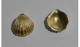 Colgante Concha 15*13mm Oro Mate / Cuentas Metálicas de Latón / Zamak