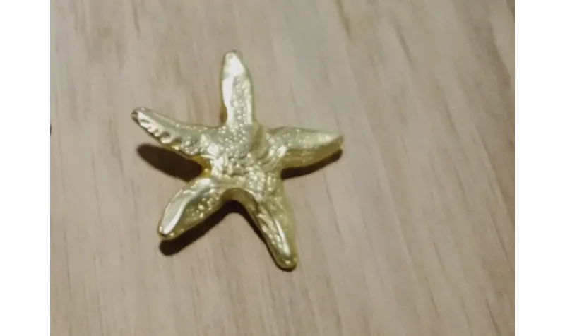 Pieza Estrella Mar con anilla 31mm diam. Oro Mate / Cuentas Metálicas de Latón / Zamak