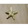 Pieza Estrella Mar con anilla 31mm diam. Oro Mate / Cuentas Metálicas de Latón / Zamak