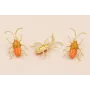 Insecto antenas 30*20 esmalte Marrón y Naranja / Base Pendientes 