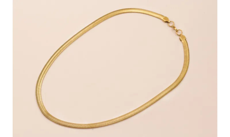 Collar Completo Acero Inox. Tira se / Bases de Collares de Acero Inoxidable