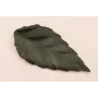 Hoja Cuero relieve 8*3,7 verde / Hilos y Cordones, Cuero y piel
