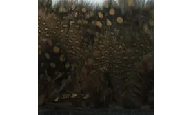 Fleco pumas moteada marrón / Cuentas y Plumas