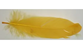 Pluma 18cms  Amarilla / Cuentas y Plumas