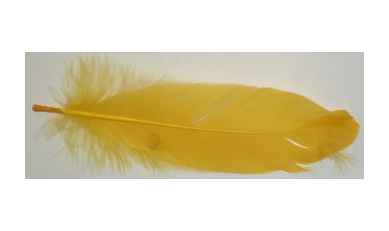 Pluma 18cms  Amarilla / Cuentas y Plumas