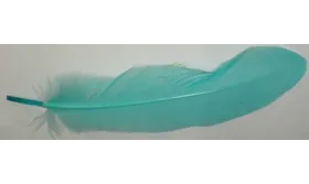 Pluma 18cms  Azul claro / Cuentas y Plumas