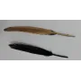 Pluma negra 130mm dorada por un lado / Cuentas y Plumas